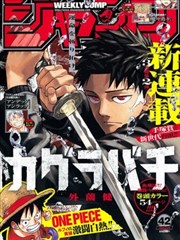 海贼王漫画封面